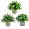 Vista Mini Potted Fake Plants Eucalyptus Artificial Plants Boxwood And Rosemary 3 Pack Neutral Color Pot In Home Office Desk Decoration -Artificial Trees Store 51Xd1CHFP6S