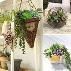 Anoak Artificial Succulent Plants - 16 Pcs Set Faux Succulents Unpotted Fake Succulent Plants, Premium Crafting DIY Floral Decor For Home Garden Office Party (High Realistic) -Artificial Trees Store 51XhT49nQpL