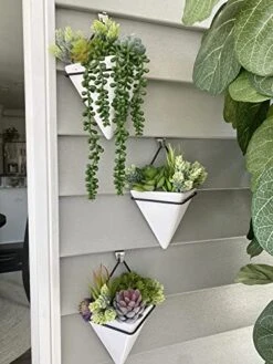 Anoak Artificial Succulent Plants - 16 Pcs Set Faux Succulents Unpotted Fake Succulent Plants, Premium Crafting DIY Floral Decor For Home Garden Office Party (High Realistic) -Artificial Trees Store 51Xi6nxLPPL