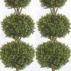 Two 56 Inch Artificial Boxwood Triple Ball Trees Potted -Artificial Trees Store 51Xu7TaQSLL