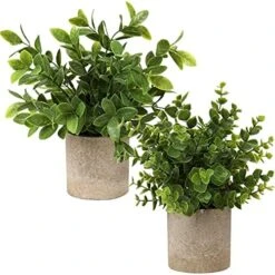Briful Artificial Potted Plants Set Of 3 Small Faux Plant Eucalyptus Mini Fake Plant Decor For Home Table Office Room Desk Bathroom Shelf Kitchen Rustic Farmhouse Mantel Decoration 19 Briful Artificial Potted Plants Set Of 3 Small Faux Plant Eucalyptus Mini Fake Plant Decor For Home Table Office Room Desk Bathroom Shelf Kitchen Rustic Farmhouse Mantel Decoration -Artificial Trees Store 51Xx dWCT2S. AC