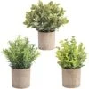 HomEdge Artificial Mini Potted Eucalyptus, 3 Packs Artificial Plastic Plant Greenery With Pot For Home, Office Desk Decoration -Artificial Trees Store 51Y3Is4e7dL