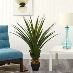 Nearly Natural 4' Spiked Agave Plant, Green & 43in. Dracaena Silk (Real Touch) Artificial Plant, Green 12 Nearly Natural 4' Spiked Agave Plant, Green & 43in. Dracaena Silk (Real Touch) Artificial Plant, Green -Artificial Trees Store 51Y85sMuSJL