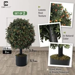 CAPHAUS Artificial Boxwood Topiary Ball Tree Set Of 2, Artificial UV Resistant Bushes, Faux Potted Tree, Plant In Pot W/Dried Moss, Fake Shrubs For Indoor, Front Porch, Outdoor, W/Orange Flower 10 CAPHAUS Artificial Boxwood Topiary Ball Tree Set Of 2, Artificial UV Resistant Bushes, Faux Potted Tree, Plant In Pot W/Dried Moss, Fake Shrubs For Indoor, Front Porch, Outdoor, W/Orange Flower -Artificial Trees Store 51YBM4ajK8L