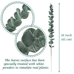 Tiyard 12pcs Eucalyptus Stems 18" Tall Artificial Eucalyptus Leaves Greenery Decor Faux Eucalyptus Real Touch For Wedding Bouquet Centerpiece Home Decor 10 Tiyard 12pcs Eucalyptus Stems 18" Tall Artificial Eucalyptus Leaves Greenery Decor Faux Eucalyptus Real Touch For Wedding Bouquet Centerpiece Home Decor -Artificial Trees Store 51YD0BGrjdL