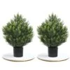 (Set Of 2) 24Inch/2 Foot Outdoor,Indoor Artificial Boxwood Plant Garden Torch Shaped Topiary Artificial Topiaries Bushes Potted Fake Plants Company Home Office Decor 2 (Set Of 2) 24Inch/2 Foot Outdoor,Indoor Artificial Boxwood Plant Garden Torch Shaped Topiary Artificial Topiaries Bushes Potted Fake Plants Company Home Office Decor -Artificial Trees Store 51YgKFWUhEL