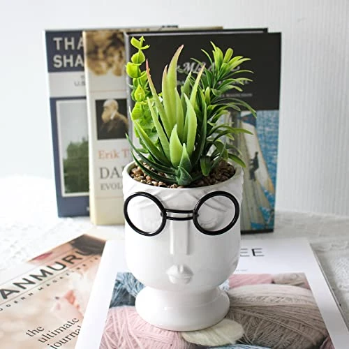ALIWINER Artificial Succulents Plants With Ceramic Pot Decor Figurines Living Room Decor Home Decoration 5 ALIWINER Artificial Succulents Plants With Ceramic Pot Decor Figurines Living Room Decor Home Decoration - Image 3