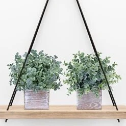 Winlyn Set Of 3 Small Potted Plants Artificial Eucalyptus In Wood Box Faux Eucalyptus In Pots Desk Plants Greenery Centerpiece Table Decorations For Farmhouse Kitchen Windowsill Shelf Entryway Decor 10 Winlyn Set Of 3 Small Potted Plants Artificial Eucalyptus In Wood Box Faux Eucalyptus In Pots Desk Plants Greenery Centerpiece Table Decorations For Farmhouse Kitchen Windowsill Shelf Entryway Decor -Artificial Trees Store 51ZNDFMXcXL