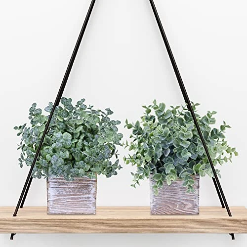 Winlyn Set Of 3 Small Potted Plants Artificial Eucalyptus In Wood Box Faux Eucalyptus In Pots Desk Plants Greenery Centerpiece Table Decorations For Farmhouse Kitchen Windowsill Shelf Entryway Decor 6 Winlyn Set Of 3 Small Potted Plants Artificial Eucalyptus In Wood Box Faux Eucalyptus In Pots Desk Plants Greenery Centerpiece Table Decorations For Farmhouse Kitchen Windowsill Shelf Entryway Decor - Image 4