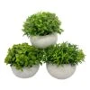 Artificial Mini Potted Plant Decor (Set Of 3) | Green Leaves Set | Fake Plants | Office Decor, Bathroom Decor, Farmhouse Decor, Kitchen Decor | Faux Topiary Decore | Home Decor Clearance -Artificial Trees Store 51ZRcDdwNtL