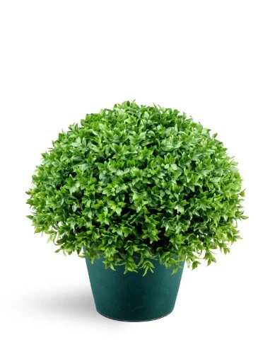National Tree Company Artificial Shrub | Includes Pot Base | Globe Japanese Holly Bush - 13 Inch 3 National Tree Company Artificial Shrub | Includes Pot Base | Globe Japanese Holly Bush - 13 Inch