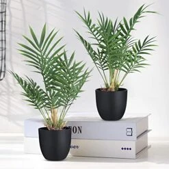 WOODWORD 2 Pack Fake Plant With Pot 16" Desk Plant Artificial Potted Faux Plants For Office Desk Shelf Home Farmhouse Decor (Bamboo Leaf) 11 WOODWORD 2 Pack Fake Plant With Pot 16" Desk Plant Artificial Potted Faux Plants For Office Desk Shelf Home Farmhouse Decor (Bamboo Leaf) -Artificial Trees Store 51Zt17kLyXL