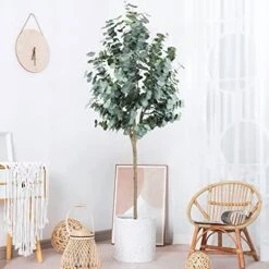 Artificial Eucalyptus Tree 6ft（71"） Tall Fake Eucalyptus Plants With 1140 Silver Dollar Leaves Faux Silk Eucalyptus Stems With Planter Artificial Tree For Indoor Outdoor Home Office Shop Decoration -Artificial Trees Store 51a0pp4kcSL