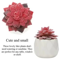 CASTNOO Set Of 4 Succulents Plants Artificial, Mini Fake Succulents For Women Office, Faux Succulents Decor, Artificial Succulents In Ceramic Pots For Desk, Home, Shelf Decorations -Artificial Trees Store 51a8rVwmfiL