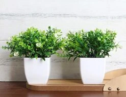 FEILANDUO Set Of 2 Mini Potted Artificial Plants Plastic Fake Green Plant For Home Decor Office Desk Shower Room Decoration Faux Plants Indoor (White, Set Of 2) 10 FEILANDUO Set Of 2 Mini Potted Artificial Plants Plastic Fake Green Plant For Home Decor Office Desk Shower Room Decoration Faux Plants Indoor (White, Set Of 2) -Artificial Trees Store 51at6ohTgfL