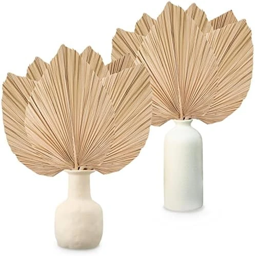 Nuanchu Natural Dried Palm Leaves Boho Palm Leaves Decor Heart Round Shape Palm Fans Tropical Palm Leaves Decoration Dried Palm Leaves Decor For Holidays Weddings Party Kitchen (Heart Shape, 9) 12 Nuanchu Natural Dried Palm Leaves Boho Palm Leaves Decor Heart Round Shape Palm Fans Tropical Palm Leaves Decoration Dried Palm Leaves Decor For Holidays Weddings Party Kitchen (Heart Shape, 9) - Image 10