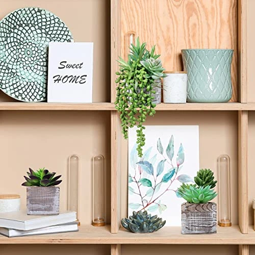 Set Of 3 Small Potted Succulents Plants Decoration Assorted Green Fake Succulents Plants In Rustic Wooden Pots For Home Living Room Bathroom Table Shelf Centerpiece Windowsill Office Desk Indoor Decor 7 Set Of 3 Small Potted Succulents Plants Decoration Assorted Green Fake Succulents Plants In Rustic Wooden Pots For Home Living Room Bathroom Table Shelf Centerpiece Windowsill Office Desk Indoor Decor - Image 5