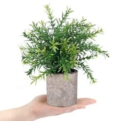 CEWOR 2 Pack Artificial Plants Mini Potted Plants Fake Bamboo Leaves Faux Rosemary Small House Plants For Home Office Desk Room Decor 9 CEWOR 2 Pack Artificial Plants Mini Potted Plants Fake Bamboo Leaves Faux Rosemary Small House Plants For Home Office Desk Room Decor -Artificial Trees Store 51bOmo9sLBL