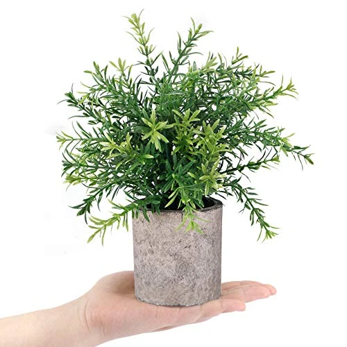 CEWOR 2 Pack Artificial Plants Mini Potted Plants Fake Bamboo Leaves Faux Rosemary Small House Plants For Home Office Desk Room Decor 5 CEWOR 2 Pack Artificial Plants Mini Potted Plants Fake Bamboo Leaves Faux Rosemary Small House Plants For Home Office Desk Room Decor - Image 3