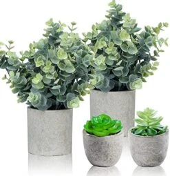 Flojery Mini Potted Plants Artificial Eucalyptus Boxwood Rosemary Greenery In Pots Faux Potted Herbs Small House Plants 8.3"-9" Tall For Indoor Greenery Tabletop Décor Centerpiece (Sprayed Eucalyptus) 12 Flojery Mini Potted Plants Artificial Eucalyptus Boxwood Rosemary Greenery In Pots Faux Potted Herbs Small House Plants 8.3"-9" Tall For Indoor Greenery Tabletop Décor Centerpiece (Sprayed Eucalyptus) -Artificial Trees Store 51bgaGljGyL. AC