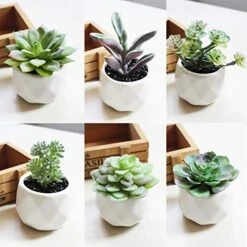 Augshy Artificial Succulents, 16 Pack Fake Succulents Plants Artificial Small Fake Plants Faux Succulents Unpotted For Lotus Landscape Decorative Garden Arrangement Decor -Artificial Trees Store 51c46X94qUL
