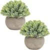Briful Small Fake Plants Faux Potted Plant Mini Artificial Plants For For Home Table Office Room Desk Bathroom Shelf Kitchen Farmhouse Mantel Decoration -Artificial Trees Store 51cBWPenpsL