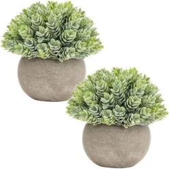 Briful Small Fake Plants Faux Potted Plant Mini Artificial Plants For For Home Table Office Room Desk Bathroom Shelf Kitchen Farmhouse Mantel Decoration -Artificial Trees Store 51cBWPenpsL. AC