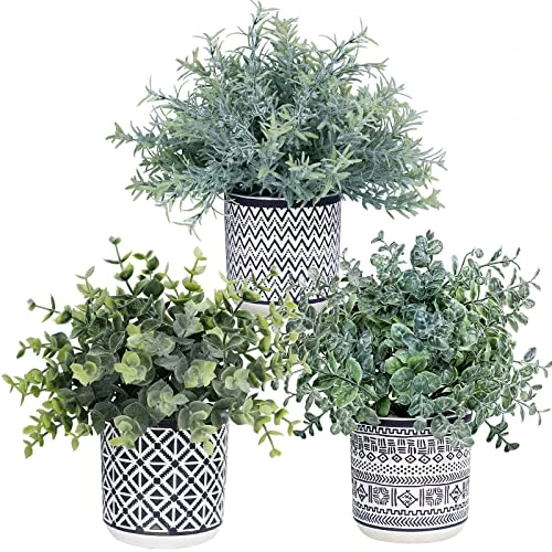 Set Of 3 Assorted Small Potted Plants Fake Eucalyptus Rosemary Plants In Black & White Geometric Concrete Ceramic Pots For Table Centerpiece Desk Shelf Kitchen Office Indoor Outdoor Greenery Decor 3 Set Of 3 Assorted Small Potted Plants Fake Eucalyptus Rosemary Plants In Black & White Geometric Concrete Ceramic Pots For Table Centerpiece Desk Shelf Kitchen Office Indoor Outdoor Greenery Decor