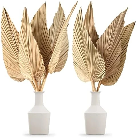 Nuanchu Natural Dried Palm Leaves Boho Palm Leaves Decor Heart Round Shape Palm Fans Tropical Palm Leaves Decoration Dried Palm Leaves Decor For Holidays Weddings Party Kitchen (Heart Shape, 9) 8 Nuanchu Natural Dried Palm Leaves Boho Palm Leaves Decor Heart Round Shape Palm Fans Tropical Palm Leaves Decoration Dried Palm Leaves Decor For Holidays Weddings Party Kitchen (Heart Shape, 9) - Image 6