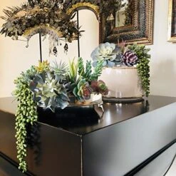 Caqpo Artificial Succulents - 15 Pack - Premium Unpotted Succulent Plants Artificial - Realistic Textured Succulents - Fake Succulent Plants For DIY - Faux Cactus Plant Bulk - Feaux Succulent Plants -Artificial Trees Store 51cuH8IHq9L