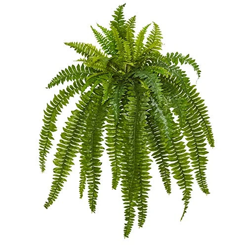 Nearly Natural 35” Boston Fern Artificial (Set Of 2) Silk Plants Green & 5357 4ft. Golden Cane Palm Tree,Green 4 Nearly Natural 35” Boston Fern Artificial (Set Of 2) Silk Plants Green & 5357 4ft. Golden Cane Palm Tree,Green - Image 2