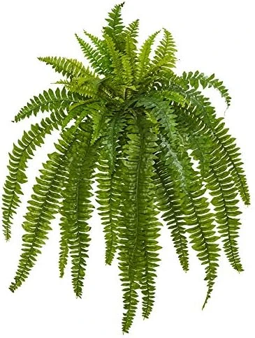 Nearly Natural 35” Boston Fern Artificial (Set Of 2) Silk Plants Green & 5357 4ft. Golden Cane Palm Tree,Green 8 Nearly Natural 35” Boston Fern Artificial (Set Of 2) Silk Plants Green & 5357 4ft. Golden Cane Palm Tree,Green - Image 6