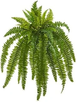 Nearly Natural 35” Boston Fern Artificial (Set Of 2) Silk Plants Green -Artificial Trees Store 51dCqYhP6gL. AC