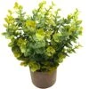 Svenee Mini Potted Plants Artificial Flocked Eucalyptus Greenery In Pots Faux Potted Herbs Small Houseplants For Indoor Outdoor Greenery Tabletop Decoration Centerpiece, Garden,Farmhouse (1) -Artificial Trees Store 51dStkKDrWS