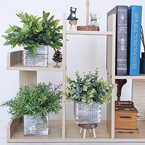 Set Of 3 Assorted Small Potted Plants Fake Eucalyptus Plants And Rosemary Plant In Rustic Wooden Planters For Mother Gifts Farmhouse Table Centerpiece Bathroom Shelf Office Desk Indoor Greenery Decor 4 Set Of 3 Assorted Small Potted Plants Fake Eucalyptus Plants And Rosemary Plant In Rustic Wooden Planters For Mother Gifts Farmhouse Table Centerpiece Bathroom Shelf Office Desk Indoor Greenery Decor - Image 2