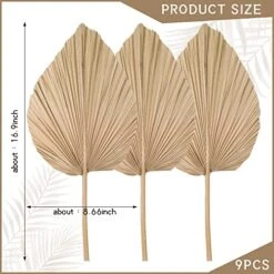 Nuanchu Natural Dried Palm Leaves Boho Palm Leaves Decor Heart Round Shape Palm Fans Tropical Palm Leaves Decoration Dried Palm Leaves Decor For Holidays Weddings Party Kitchen (Heart Shape, 9) 14 Nuanchu Natural Dried Palm Leaves Boho Palm Leaves Decor Heart Round Shape Palm Fans Tropical Palm Leaves Decoration Dried Palm Leaves Decor For Holidays Weddings Party Kitchen (Heart Shape, 9) -Artificial Trees Store 51dpmYyXOzL