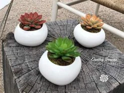 Earthy Décore Warning May Cause Happiness, Set Of 3 Amazing Looking Artificial Cactus Plants In Ceramic Pot With Unconditional 60 Return, No Questions Ask