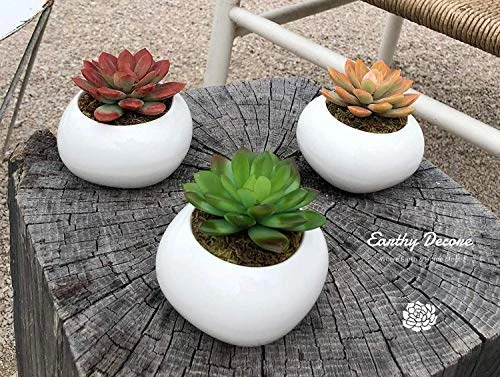 Earthy Décore Warning May Cause Happiness, Set Of 3 Amazing Looking Artificial Cactus Plants In Ceramic Pot With Unconditional 60 Return, No Questions Ask 3 Earthy Décore Warning May Cause Happiness, Set Of 3 Amazing Looking Artificial Cactus Plants In Ceramic Pot With Unconditional 60 Return, No Questions Ask