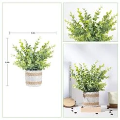 HC STAR Mini Fake Plants Artificial Potted Green Plastic Plants,Small Houseplants For Home Decor Office Desk 13 HC STAR Mini Fake Plants Artificial Potted Green Plastic Plants,Small Houseplants For Home Decor Office Desk -Artificial Trees Store 51e80hEKWvL