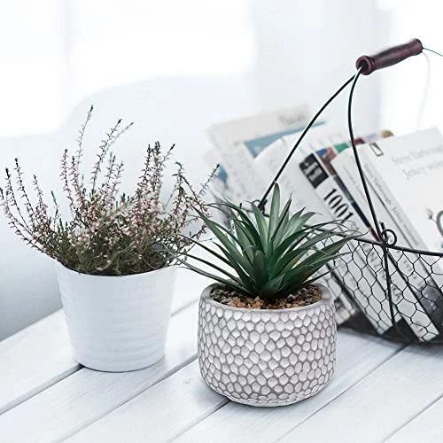 CADNLY Small Fake Plants In Pot - Artificial Succulents Plant For Desk - Small Faux Plants Indoor Modern Farmhouse Plants Artificial Decor – Potted Small Plants Decor For Bedroom Bathroom Office Shelf 4 CADNLY Small Fake Plants In Pot - Artificial Succulents Plant For Desk - Small Faux Plants Indoor Modern Farmhouse Plants Artificial Decor – Potted Small Plants Decor For Bedroom Bathroom Office Shelf - Image 2