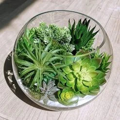 Winlyn 19 Pcs Assorted Artificial Succulents Plants Unpotted Small Green Hanging Succulent Aloe Fake Cacti Succulents Bulk For Succulent Garden Centerpiece Wreath Arrangement Indoor Outdoor Home Decor -Artificial Trees Store 51eQqboHVwL