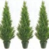 Three 3 Foot Artificial Cedar Topiary Trees Potted Indoor Or Outdoor -Artificial Trees Store 51erSHdZ42L