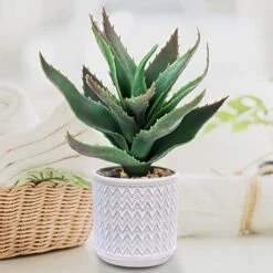 Set Of 3 Assorted Small Potted Plants Fake Eucalyptus Boxwood Plants And Aloe Succulent Plant In Gray Geometric Concrete Ceramic Pots For Gifts Home Kitchen Table Desk Indoor Outdoor Greenery Decor 10 Set Of 3 Assorted Small Potted Plants Fake Eucalyptus Boxwood Plants And Aloe Succulent Plant In Gray Geometric Concrete Ceramic Pots For Gifts Home Kitchen Table Desk Indoor Outdoor Greenery Decor -Artificial Trees Store 51f3WsRw8rL