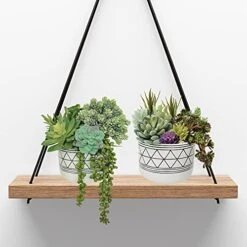 Winlyn 16 Pcs Artificial Succulents Plants Unpotted Small Hanging String Of Pearls Aloe Hops Cactus Green Fake Succulents For Succulent Garden Arrangement Centerpiece Wall Indoor Outdoor Home Decor -Artificial Trees Store 51f6OVSUw9L