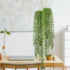 Meiliy 4pcs Artificial Succulent Plants Hanging Succulent Plants Faux Succulents Unpotted Branch String Of Pearls Plant For Home Kitchen Office Wedding Garden Craft Art Decor(28 Inches Each Length) -Artificial Trees Store 51fDMjFwNLL