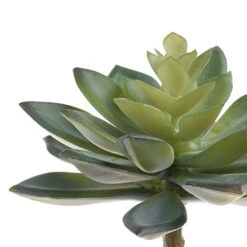 BCP Pack Of 2 Realistic Cute Green Home Garden Artificial Plastic Snowdrop Echeverias Succulent Plants Unpotted -Artificial Trees Store 51fNp39UQoL