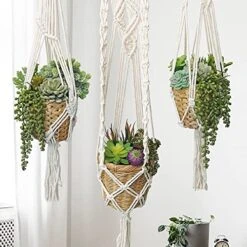 Winlyn 16 Pcs Artificial Succulents Plants Unpotted Small Hanging String Of Pearls Aloe Hops Cactus Green Fake Succulents For Succulent Garden Arrangement Centerpiece Wall Indoor Outdoor Home Decor -Artificial Trees Store 51fr77UMP9L
