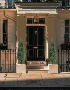 Momoplant （Set Of 2 4 Foot Artificial Cypress Topiary Tree Cedar Potted Plant Outdoor/Indoor -Artificial Trees Store 51fwGFlVOSL