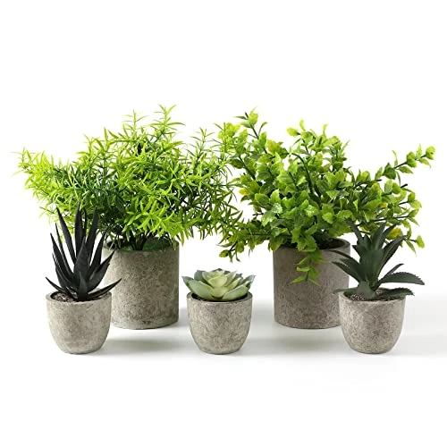 Memeaty Set Of 5 Small Fake Plants Artificial Rosemary Peppermint Plants Fake Succulents Plants In Pot For Home Office Decoration,Artficial Greenery Faux Plants Indoor For Table Shelf Decor 6 Memeaty Set Of 5 Small Fake Plants Artificial Rosemary Peppermint Plants Fake Succulents Plants In Pot For Home Office Decoration,Artficial Greenery Faux Plants Indoor For Table Shelf Decor - Image 4