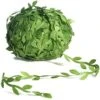 Naidiler 265 Ft Leaf Ribbon, Artificial Vines Leaves String Trim Ribbon Wild Jungle Botanical Greenery For Baby Shower Party Wedding Home Wreaths & DIY Craft 2 Naidiler 265 Ft Leaf Ribbon, Artificial Vines Leaves String Trim Ribbon Wild Jungle Botanical Greenery For Baby Shower Party Wedding Home Wreaths & DIY Craft -Artificial Trees Store 51gGkIdsRKL
